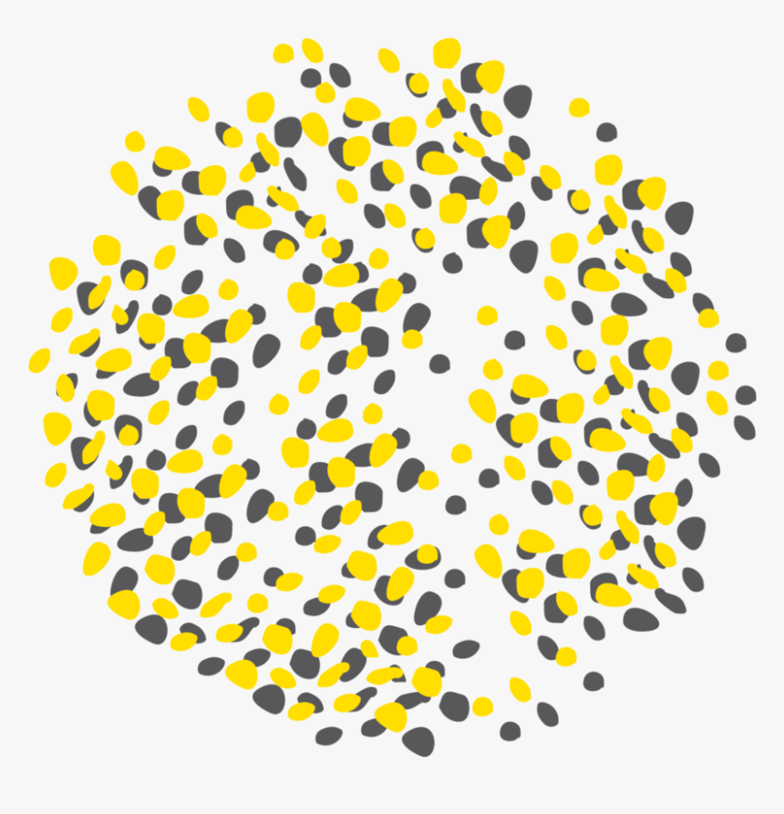 Circle, HD Png Download