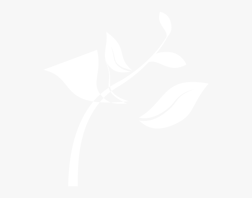White Seedling Png, Transparent Png