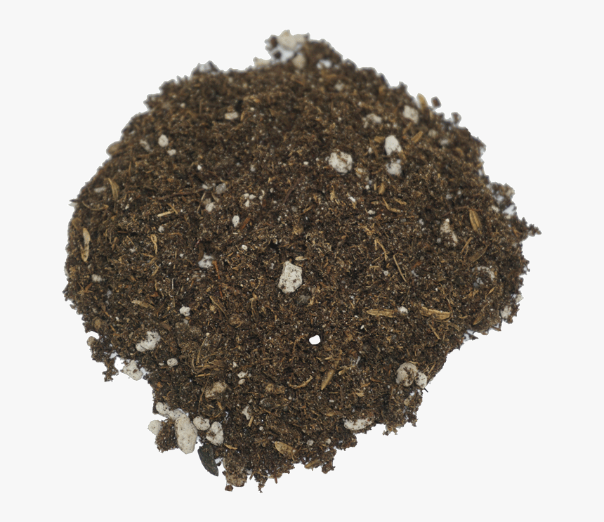 Seedling Soil 
 Class Lazyload Lazyload Fade In Cloudzoom - Rolling Tobacco, HD Png Download