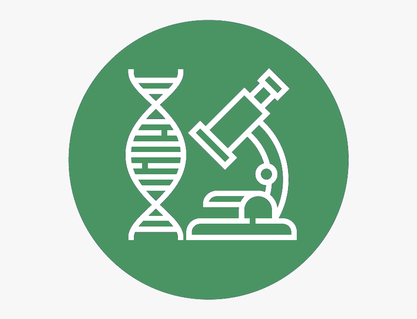 Research Icon Green - Unt Alumni, HD Png Download