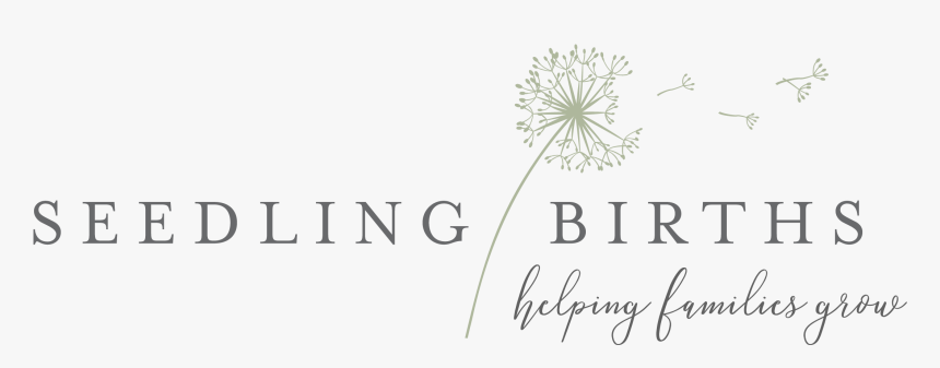 Seedling Births Midwifery Services - Eataly, HD Png Download
