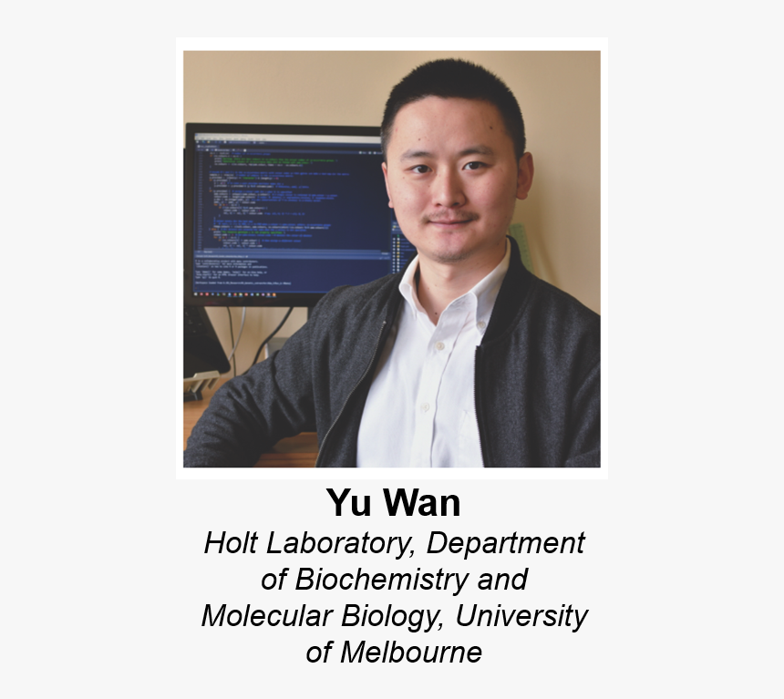 Photo Caption, HD Png Download