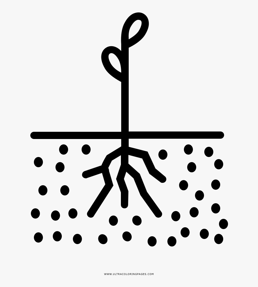 Seedling Coloring Page - Circle, HD Png Download