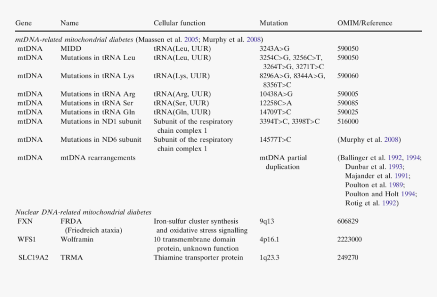 Screenshot, HD Png Download