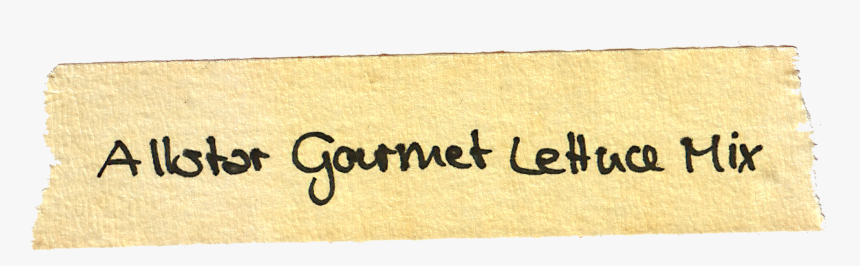 Calligraphy, HD Png Download