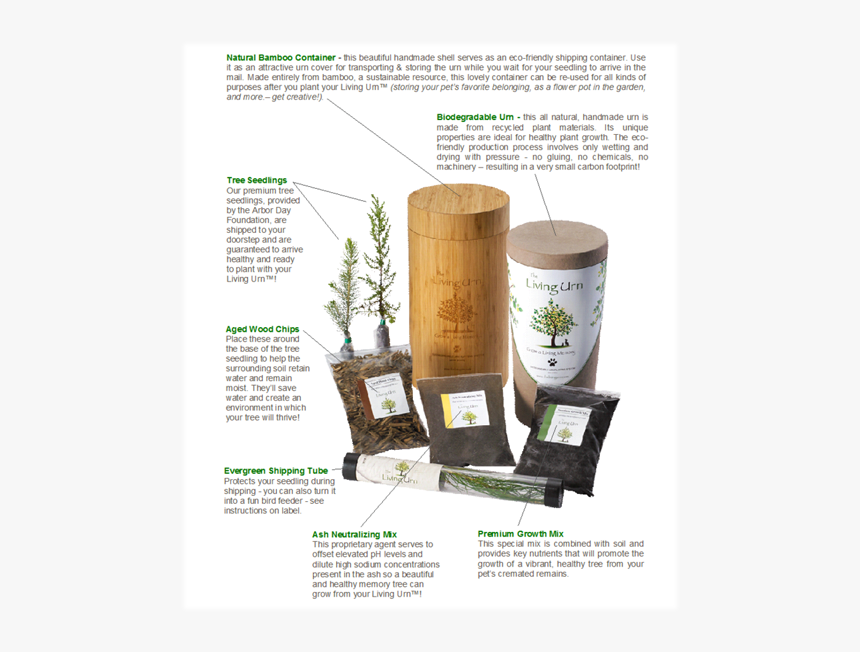 Living Urn, HD Png Download