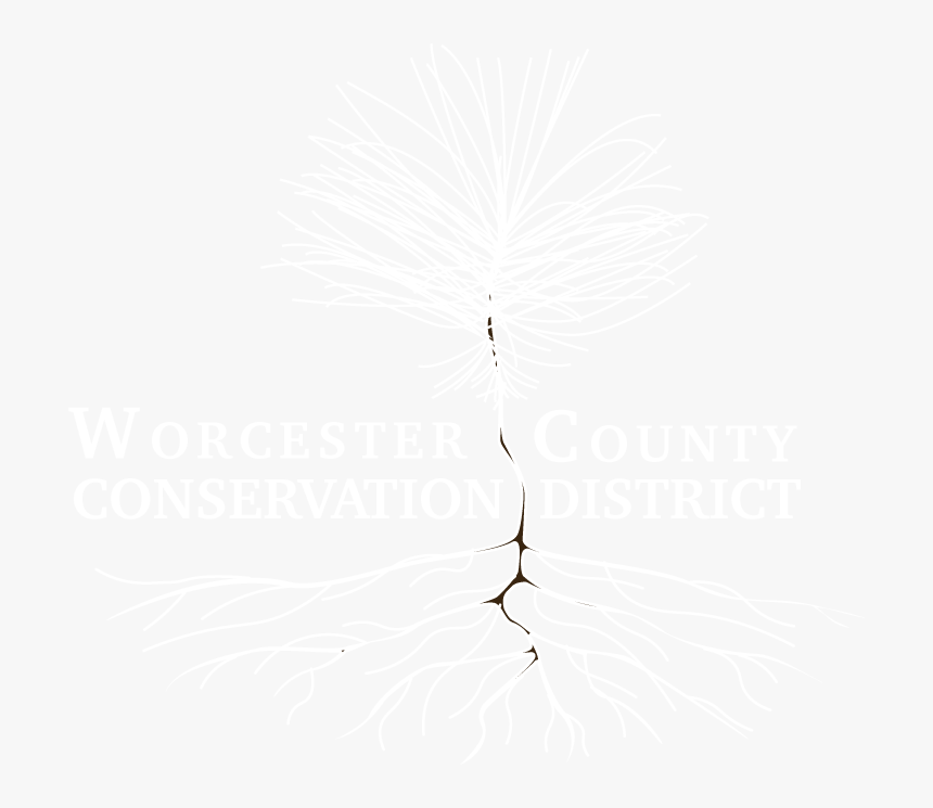 Worcester County Conservation District - Illustration, HD Png Download