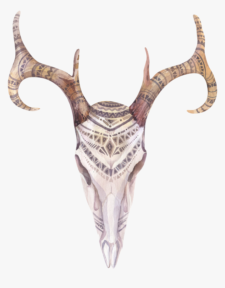 Banner Free Library Boho Chic Watercolor Painting Skull - Bohemian Deer Skull Print, HD Png Download