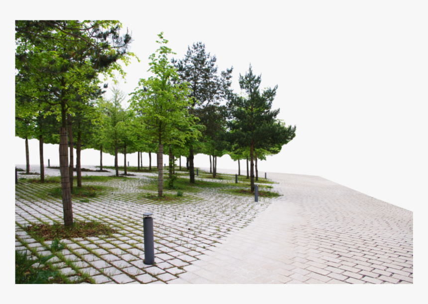 #background #park #walkway #trees #sidewalk #walk #freetoedit - Trees Png Background Side, Transparent Png