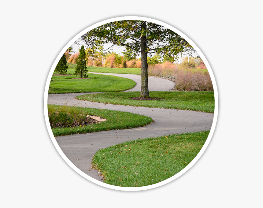Grass, HD Png Download