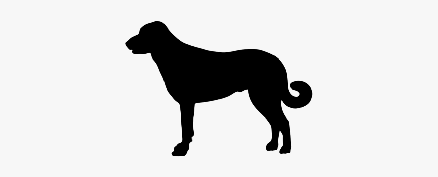 Anatolian Shepherd Dog Silhouette Png, Transparent Png