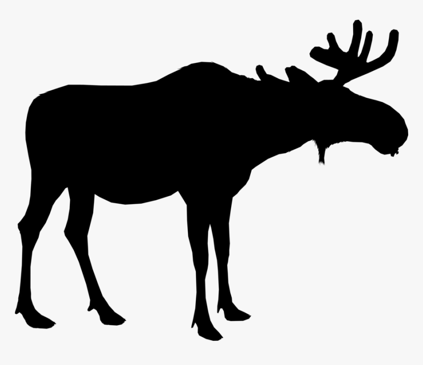 Moose Silhouette Deer Vector Graphics Portable Network, HD Png Download