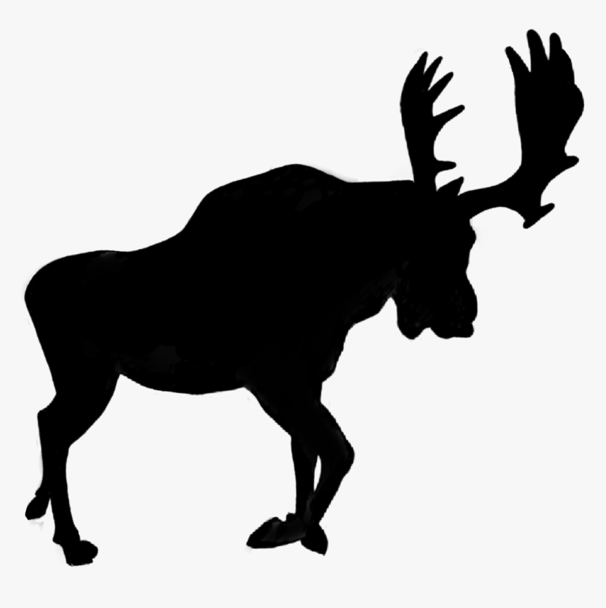 #silhouette #moose #horns #shadow #animal #antlers - Horse Clip Art Silhouette, HD Png Download