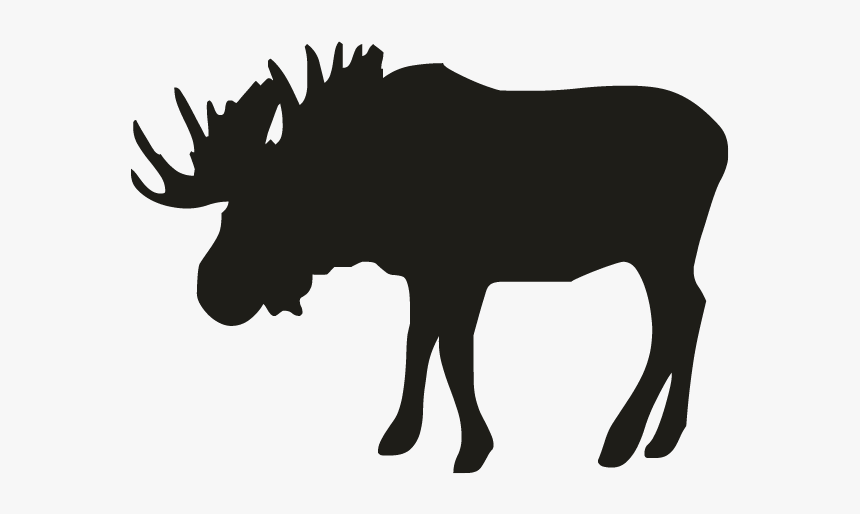 Best Canadian Street Sign, HD Png Download