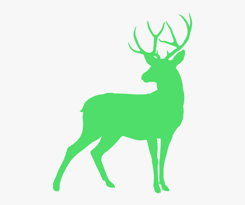 Deer Silhouette Png, Transparent Png