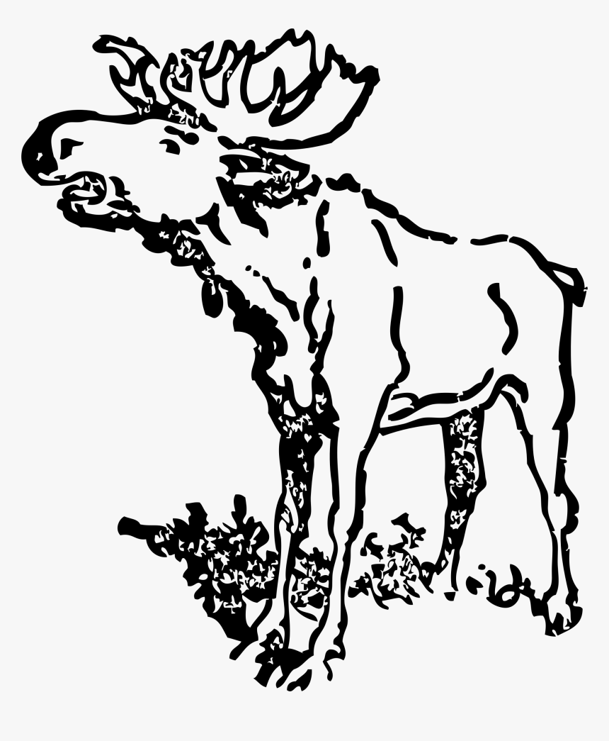 Moose Clip Arts - Black And White Moose Clip Art Realistic, HD Png Download