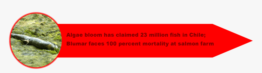 1 Chile Crisis 2 - Carmine, HD Png Download