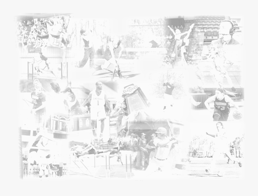 Hive Page , Png Download - Visual Arts, Transparent Png