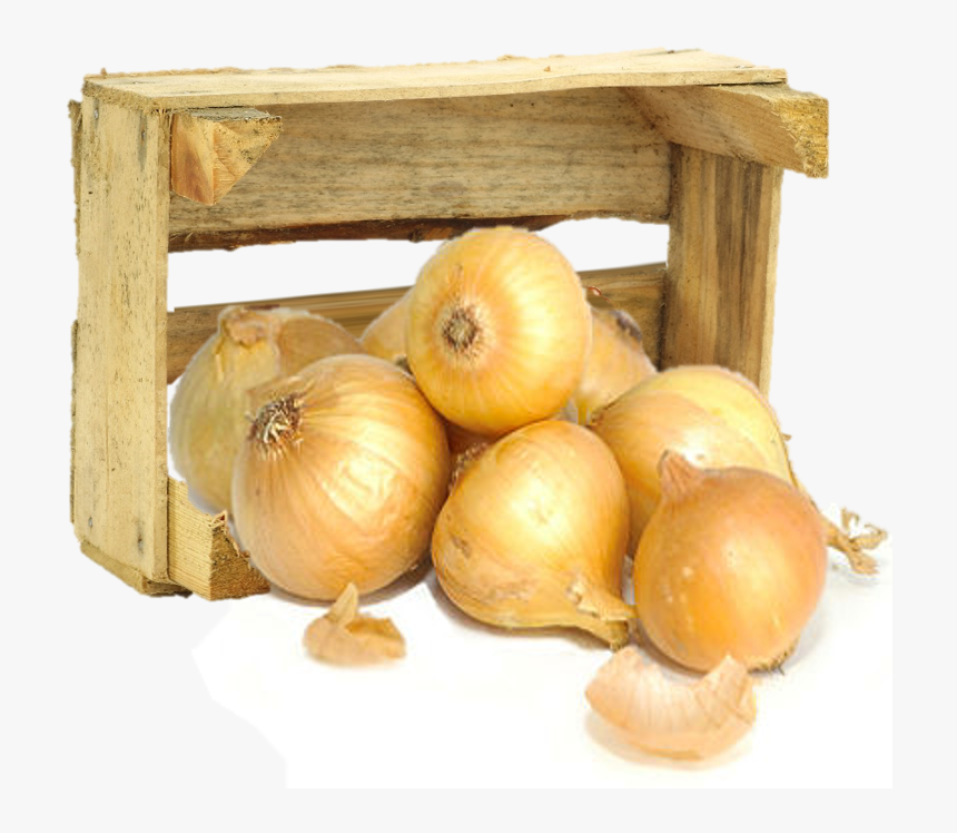 Yellow Onion, HD Png Download