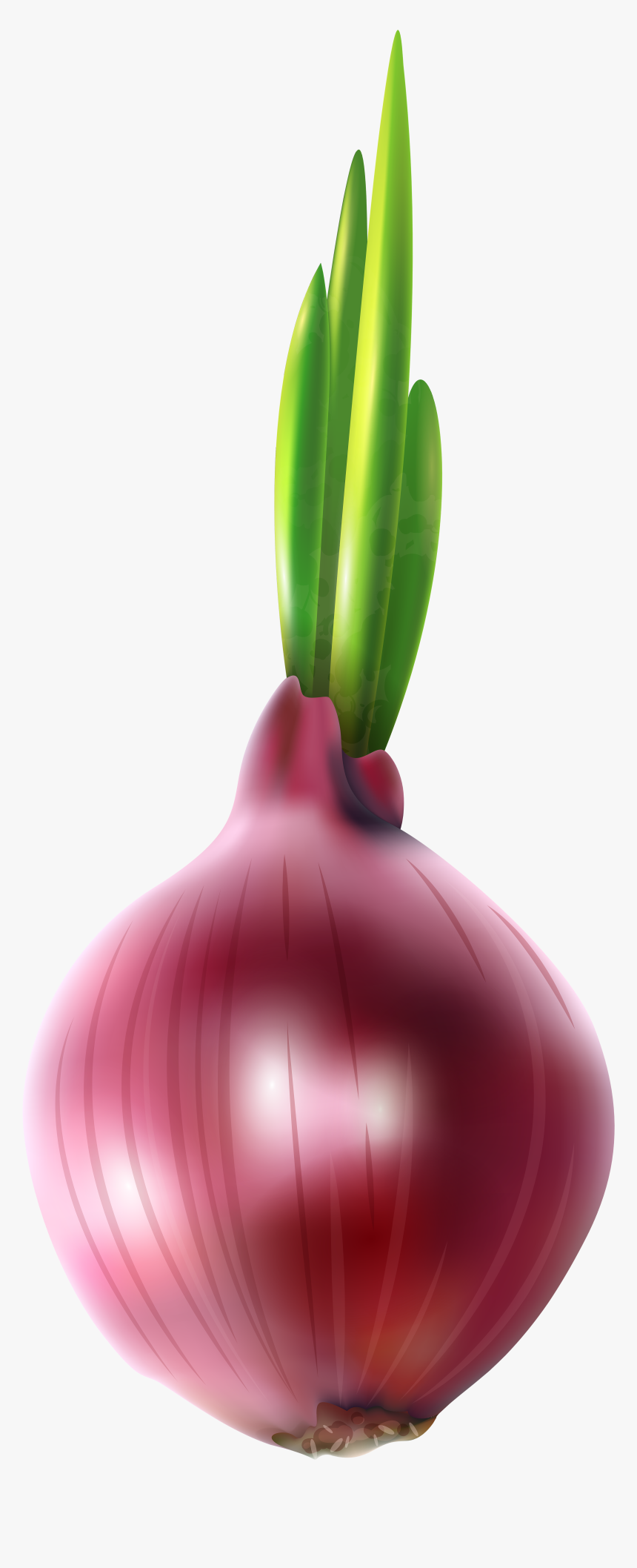 Clipart Vegetables Onion - Red Onion Clipart, HD Png Download