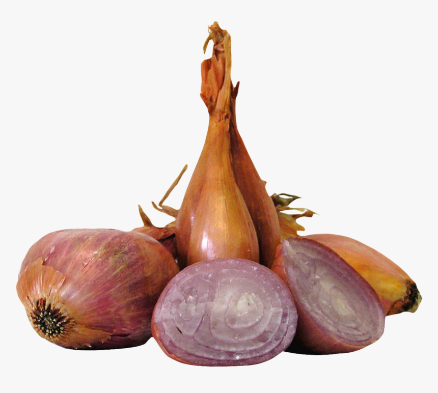 Onion, HD Png Download