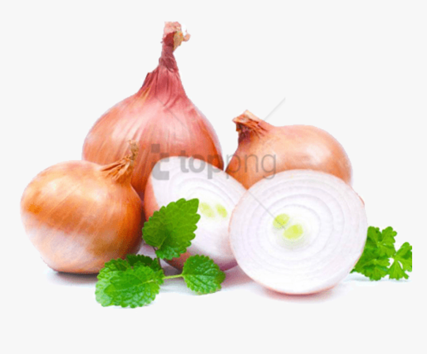 Free Png Download Onion Change Eye Color Png Images - Onion Change Eye Color, Transparent Png