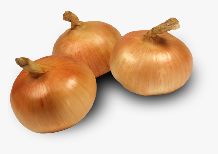 Transparent Onion Plant Png - Sweet Onion Transparent, Png Download