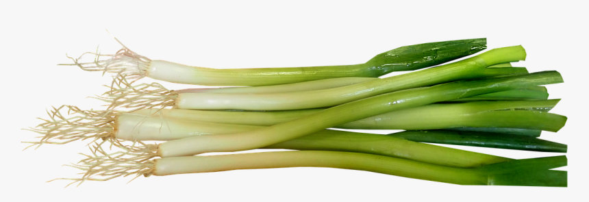 Transparent Onions Png - Spring Onions Png, Png Download