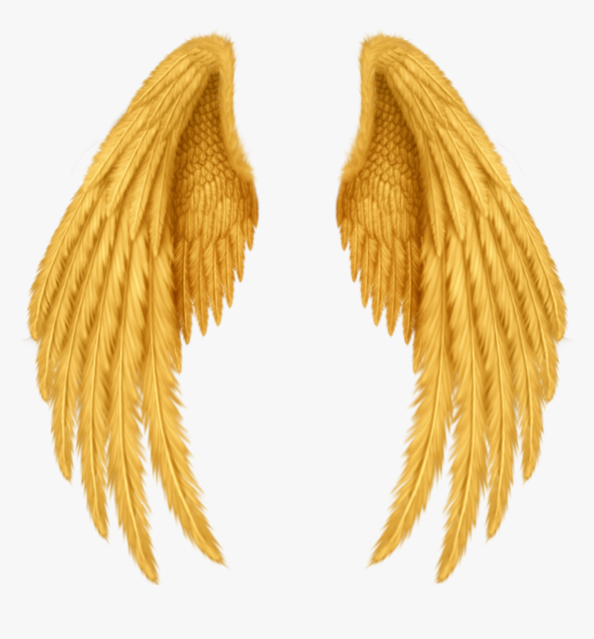 #wings #alas #gold #golden #doradas #oro #gods #dioses - Realistic Angel Wings Drawing, HD Png Download