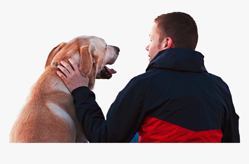 Pup And Patriot - Dog Happy Pawthers Day, HD Png Download
