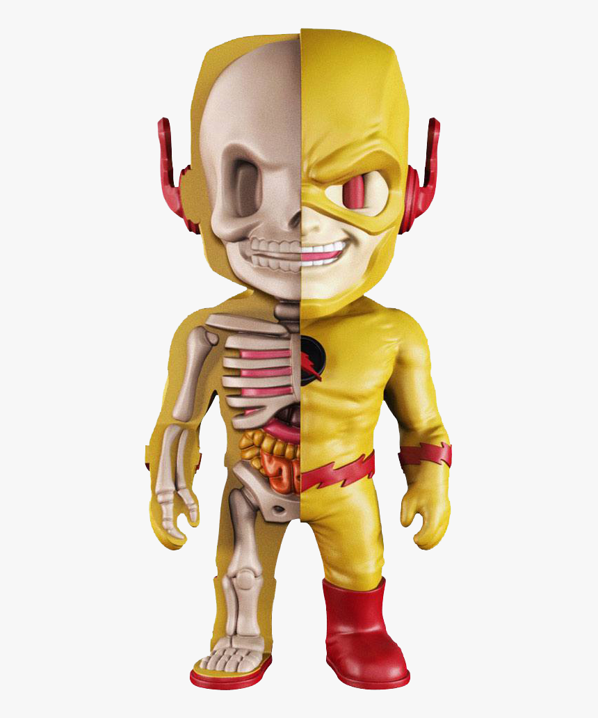 Dc Comics Xxray Figur Reverse Flash - Reverse Flash, HD Png Download