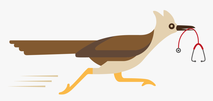 Roadrunner Healthcare - Woodpecker - Phasianidae, HD Png Download