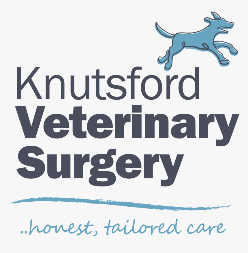 Veterinary Practice News, HD Png Download