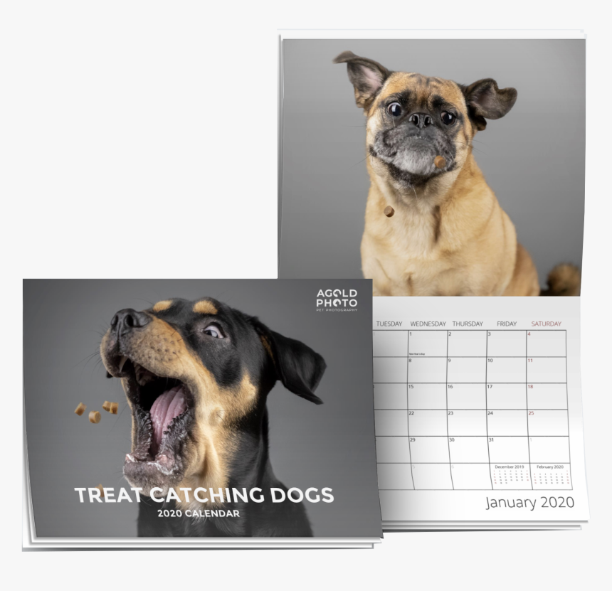 Rottweiler, HD Png Download