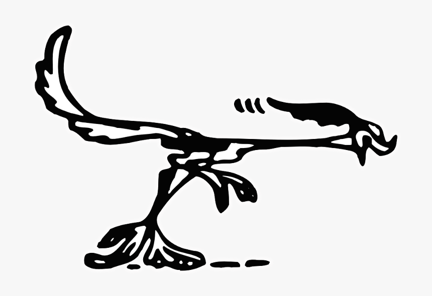 Road Runner, HD Png Download