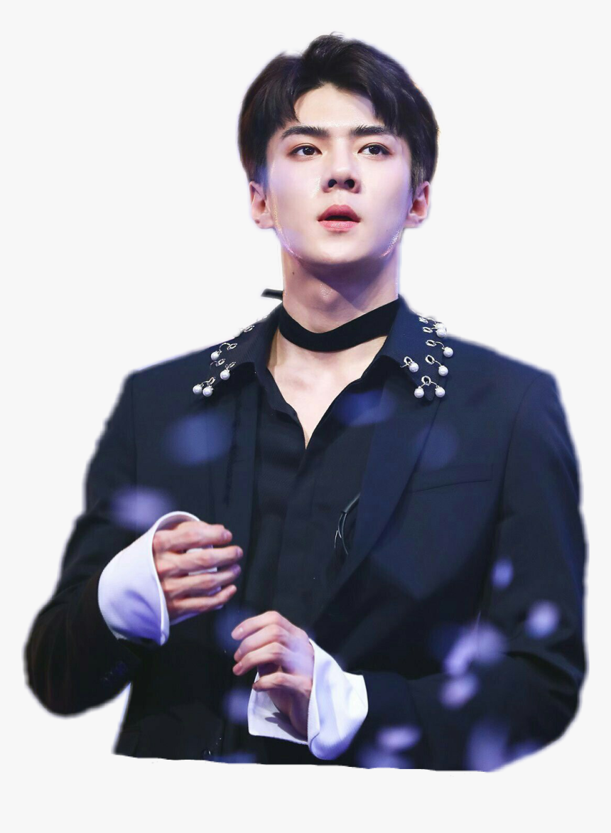 Sehun Low Poly, HD Png Download