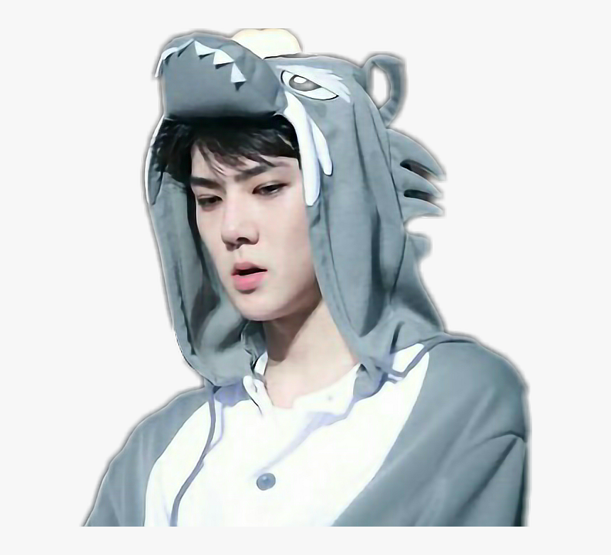 #kpop #exo #sehun - Sehun With Animal Ears, HD Png Download