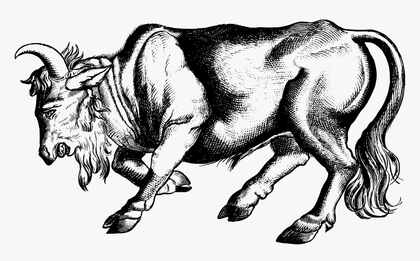 Enraged Bull Clip Arts - Clip Art, HD Png Download