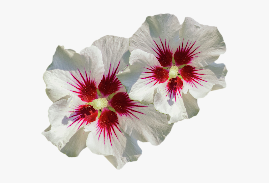 Mountain Garland, HD Png Download