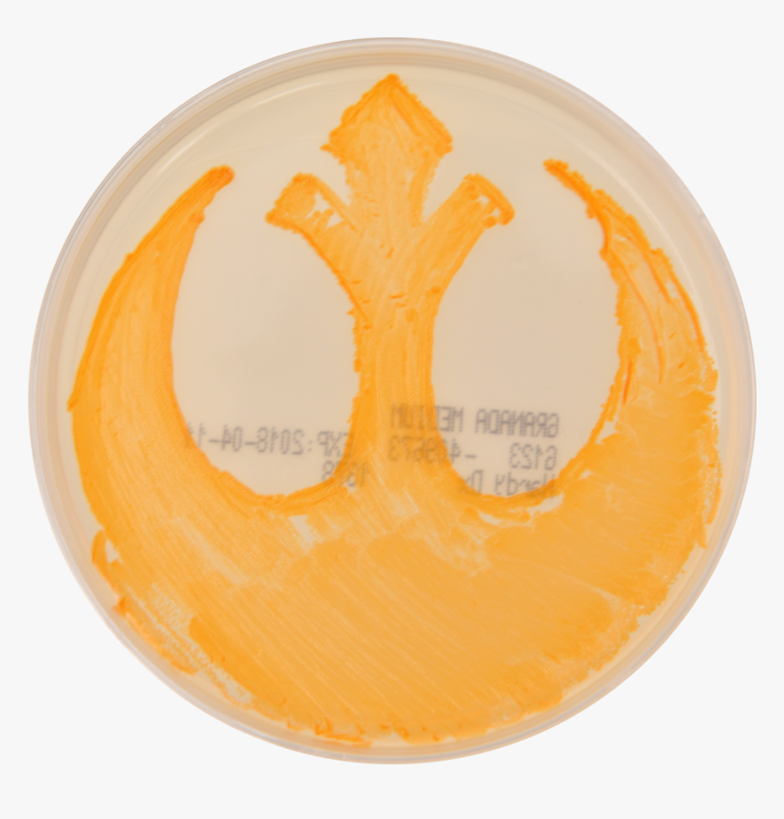 Circle, HD Png Download