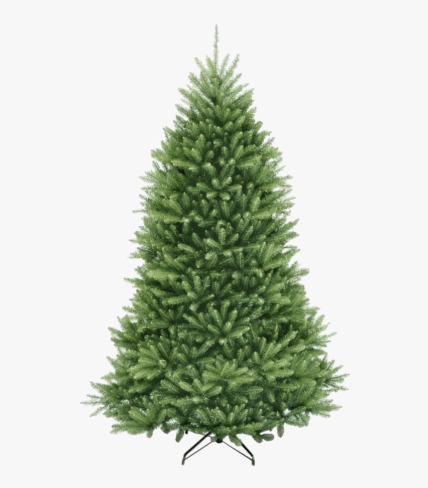 Fir Tree Png Pic - Christmas Tree, Transparent Png