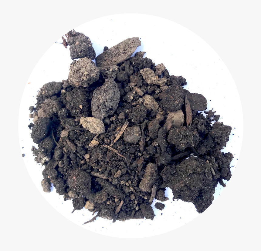 Wood, HD Png Download