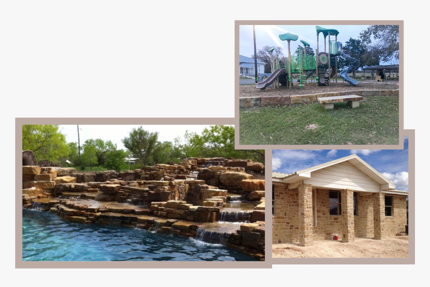 Tree, HD Png Download