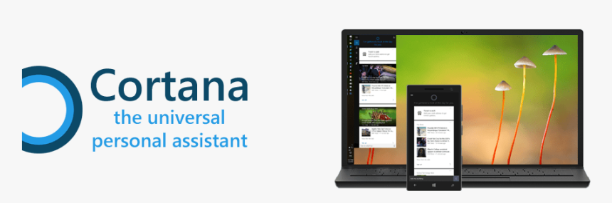 Airtal, HD Png Download