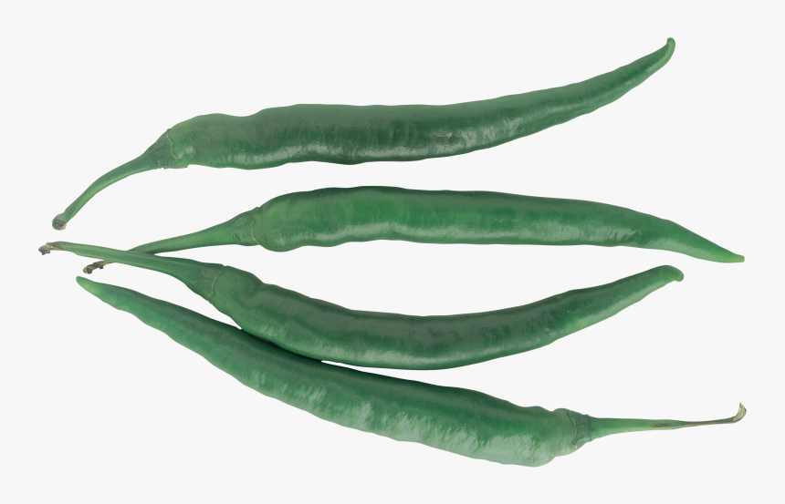 Bell Pepper , Png Download - Bird's Eye Chili, Transparent Png
