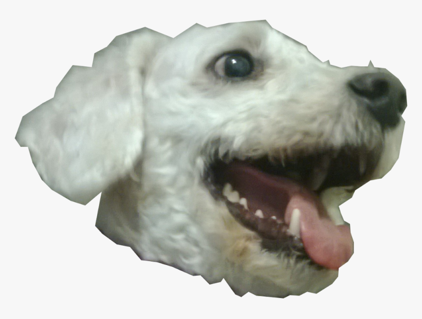 Dog Head Png, Transparent Png