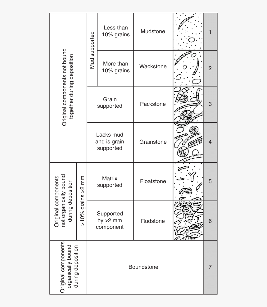 Document, HD Png Download
