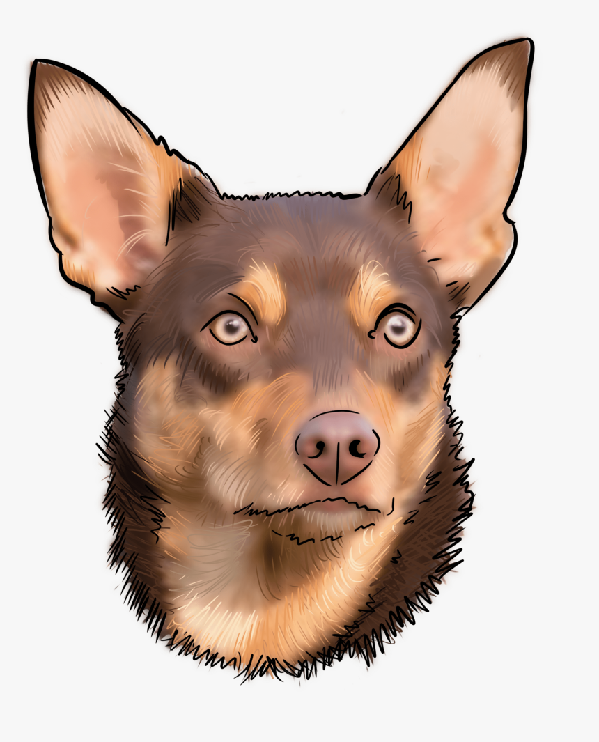Companion Dog, HD Png Download