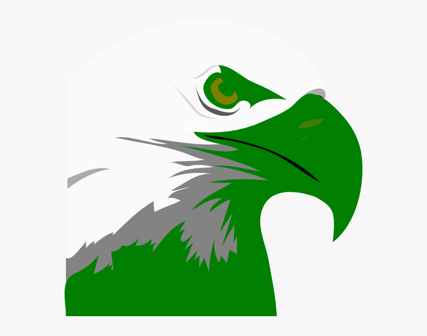 Bald Eagle Head Png - Bald Eagle Clipart, Transparent Png
