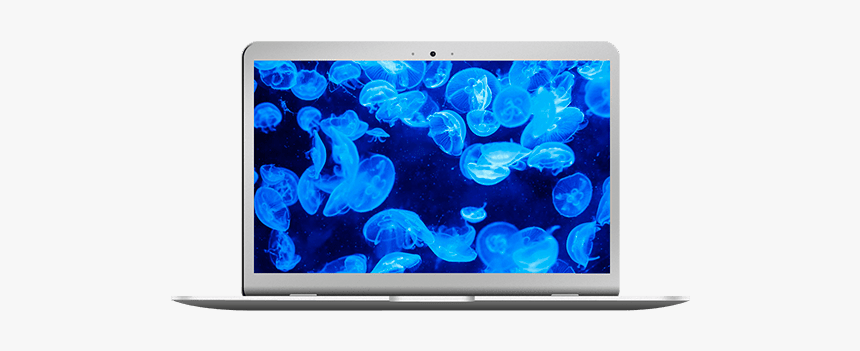 Repair Macbook Air 13 Inch - ภาพ พื้น หลัง แมงกะพรุน, HD Png Download